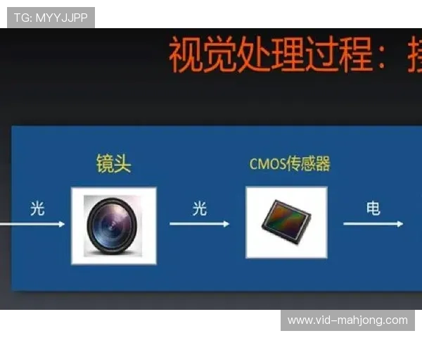 计算机视觉技术优化场馆安全与服务流程